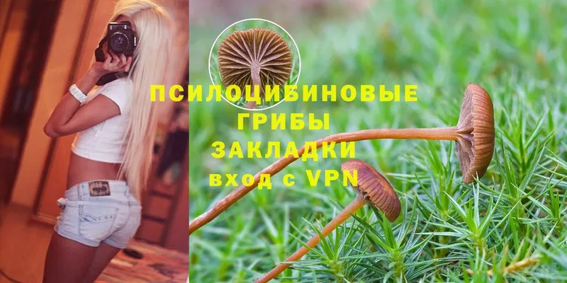 Галлюциногенные грибы MAGIC MUSHROOMS  Бобров 